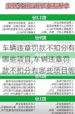 车辆违章罚款不扣分有哪些项目,车辆违章罚款不扣分有哪些项目呢