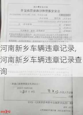 河南新乡车辆违章记录,河南新乡车辆违章记录查询