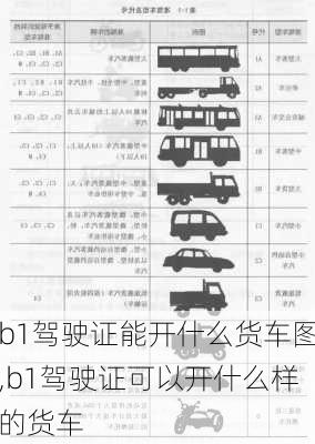 b1驾驶证能开什么货车图,b1驾驶证可以开什么样的货车