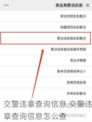 交警违章查询信息,交警违章查询信息怎么查