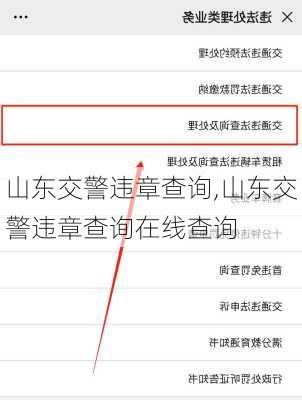 山东交警违章查询,山东交警违章查询在线查询