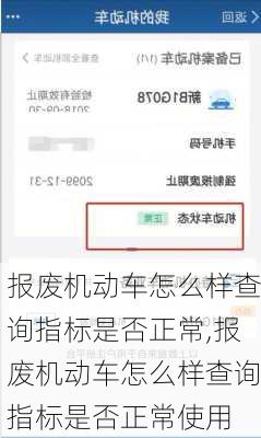 报废机动车怎么样查询指标是否正常,报废机动车怎么样查询指标是否正常使用