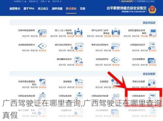 广西驾驶证在哪里查询,广西驾驶证在哪里查询真假