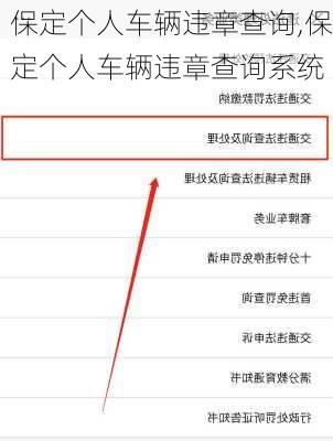 保定个人车辆违章查询,保定个人车辆违章查询系统