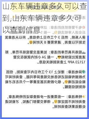 山东车辆违章多久可以查到,山东车辆违章多久可以查到信息