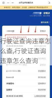 行驶证查询违章怎么查,行驶证查询违章怎么查询