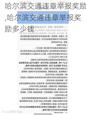 哈尔滨交通违章举报奖励,哈尔滨交通违章举报奖励多少钱