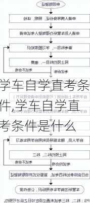 学车自学直考条件,学车自学直考条件是什么