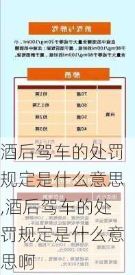 酒后驾车的处罚规定是什么意思,酒后驾车的处罚规定是什么意思啊