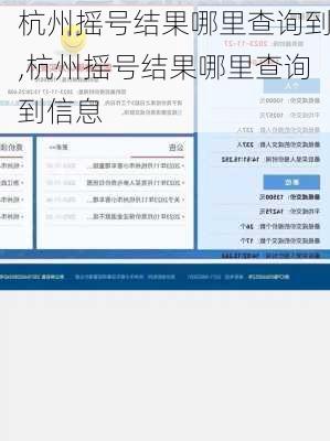 杭州摇号结果哪里查询到,杭州摇号结果哪里查询到信息