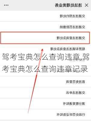 驾考宝典怎么查询违章,驾考宝典怎么查询违章记录