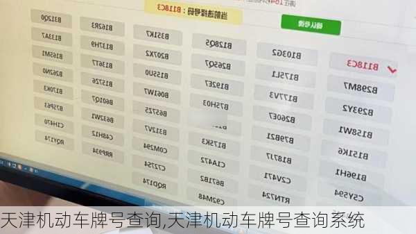 天津机动车牌号查询,天津机动车牌号查询系统