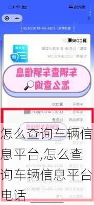 怎么查询车辆信息平台,怎么查询车辆信息平台电话