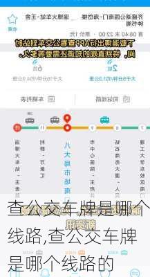 查公交车牌是哪个线路,查公交车牌是哪个线路的